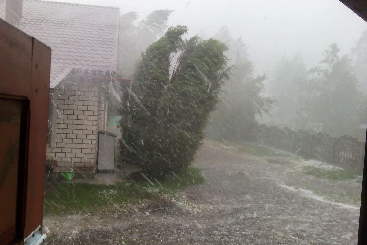 Alerte météo : les 7 astuces pour protéger votre jardin des tempêtes estivales dévastatrices !