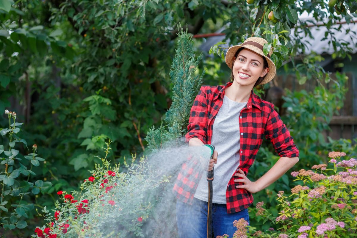 Arroser votre jardin avec de l'eau de piscine : bonne ou mauvaise idée ?