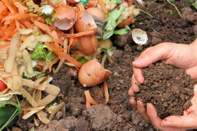 Compost : est-il conseillé par les jardiniers de composter les mauvaises herbes présentes dans le jardin ?