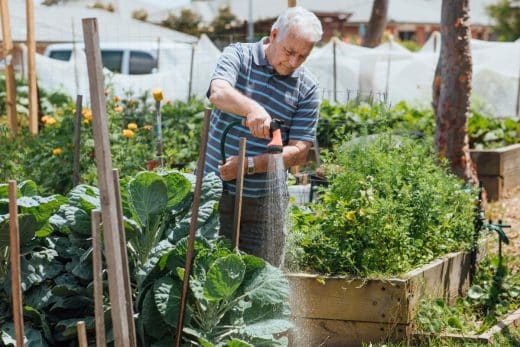 À épingler : Jardin : l’arrosage quotidien est-il vraiment bon pour vos plantes ? Voici ce que disent les professionnels