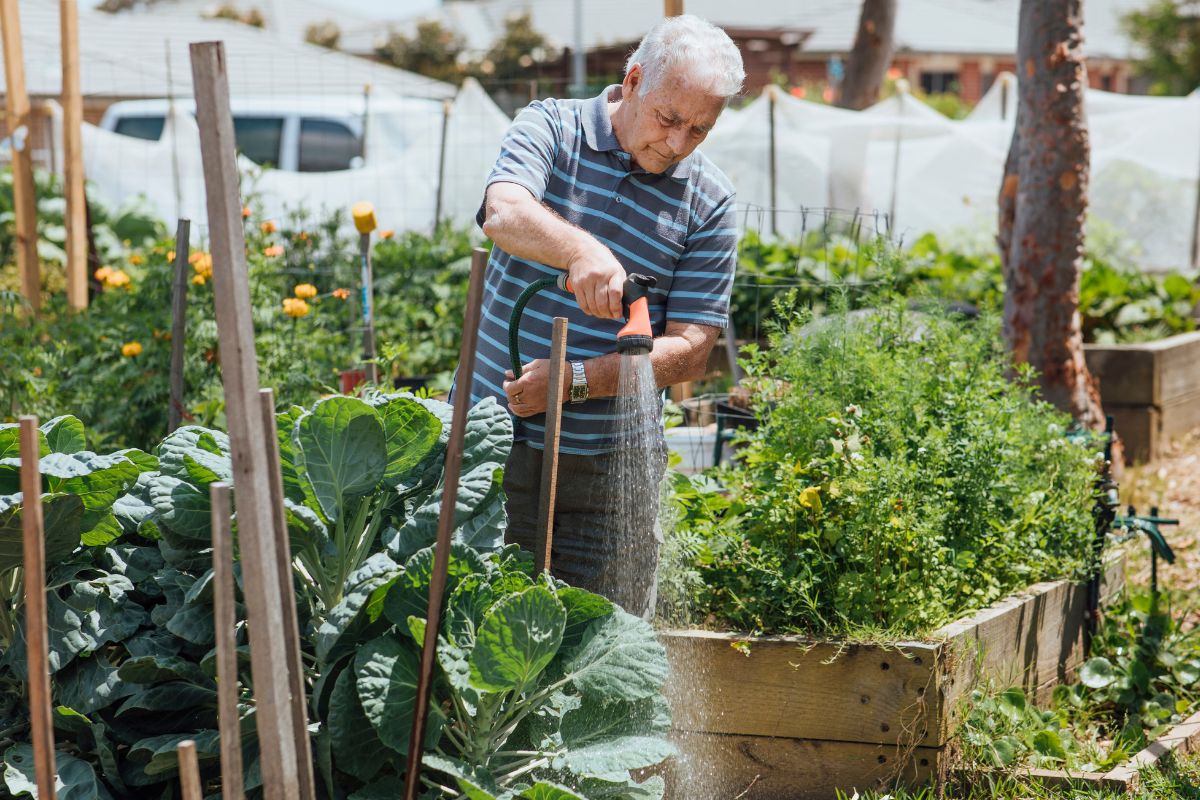 Jardin : l'arrosage quotidien est-il vraiment bon pour vos plantes ? Voici ce que disent les professionnels