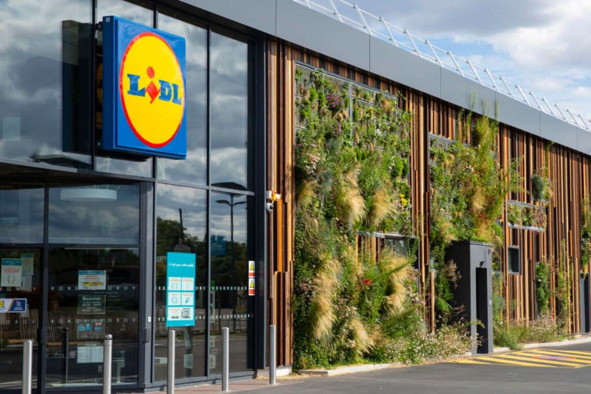 Lidl sort l'outil parfait pour tailler les haies et les branches hautes tout en restant au sol