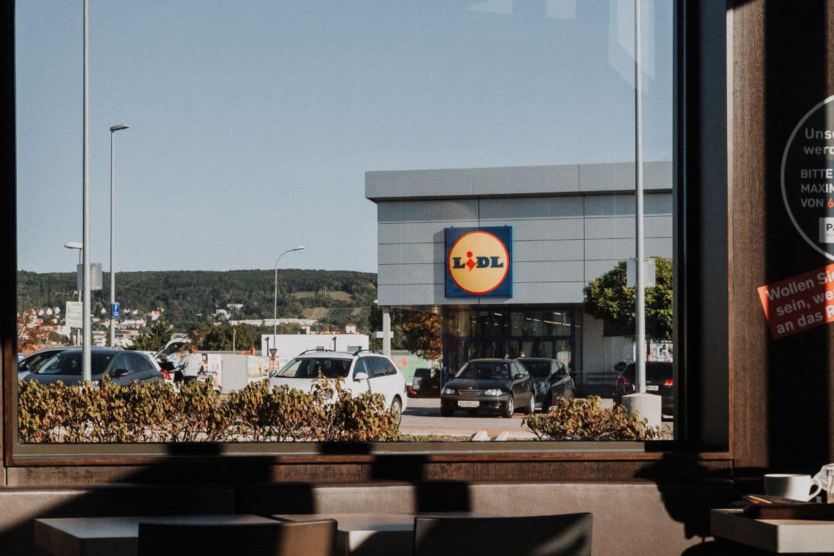 Lidl ti aiuta a decorare la tua casa: 5 piante a prezzi imbattibili per trasformare i tuoi interni!