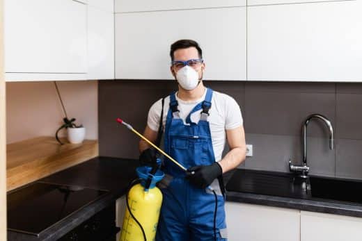 À épingler : Lutte contre les rongeurs : conseils pratiques pour protéger votre maison et votre jardin