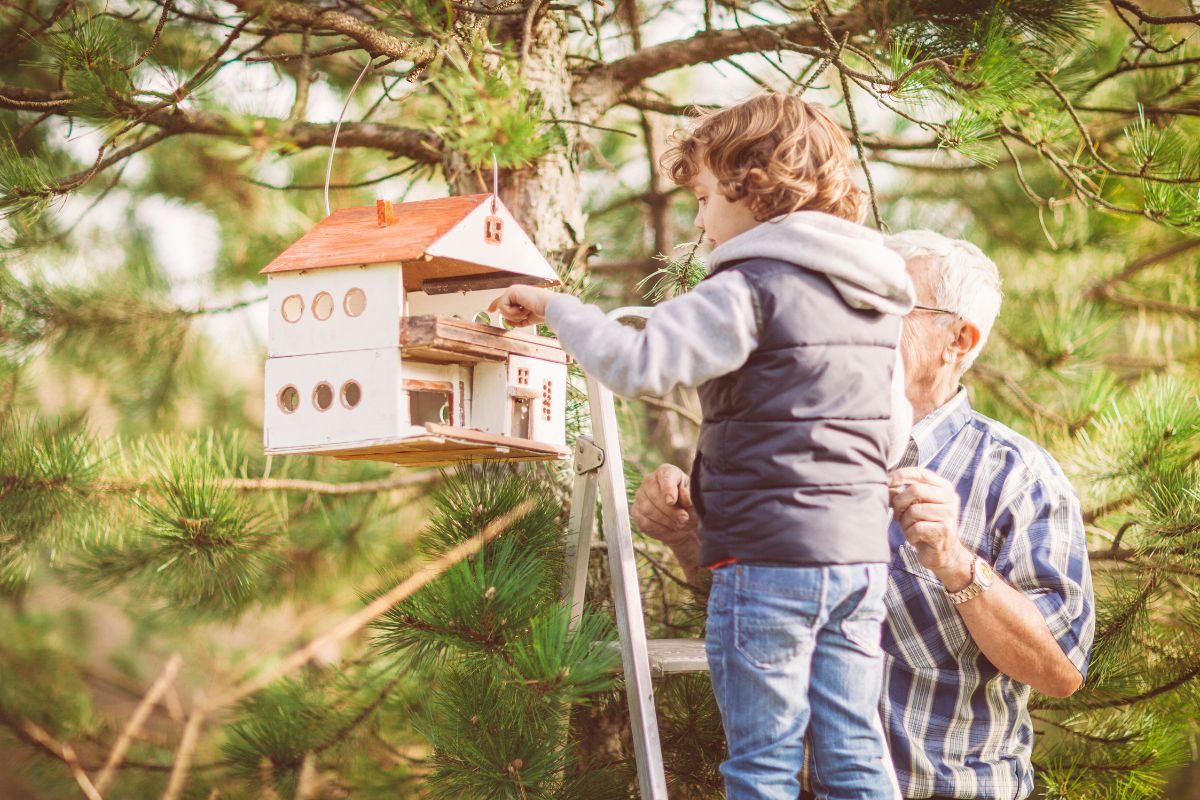 Ne ruinez pas votre jardin : les 9 erreurs à éviter lors de l'installation d'un nichoir