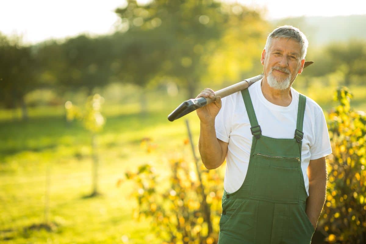 Septembre au jardin : comment transformer votre jardin en potager florissant cet automne ?