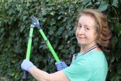 Adieu, lierre envahissant ! Découvrez le désherbant naturel qui fait des miracles !