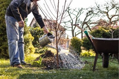 Comment arroser vos plantes sans vraiment utiliser d'eau ?