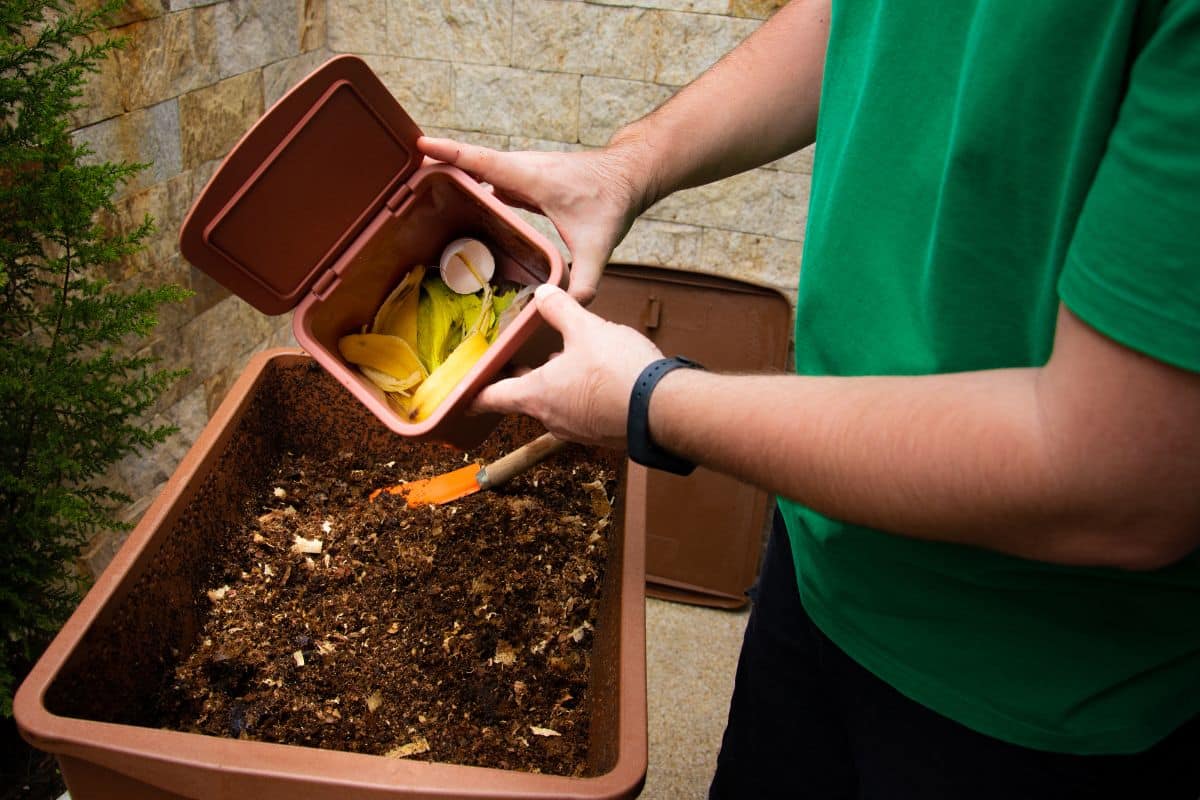 Compost : ne jetez pas ces biodéchets si vous ne souhaitez pas avoir de mauvaises surprises !