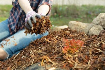 Jardin : découvrez les meilleurs paillages d'automne à utiliser pour un potager florissant !