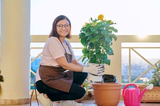 À épingler : Jardin : Plantez ces 10 variétés de plantes en pot au mois de septembre pour une terrasse fleurie et chaleureuse