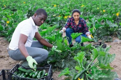 Jardinage de septembre ? Découvrez les 10 commandements pour un jardin parfait !