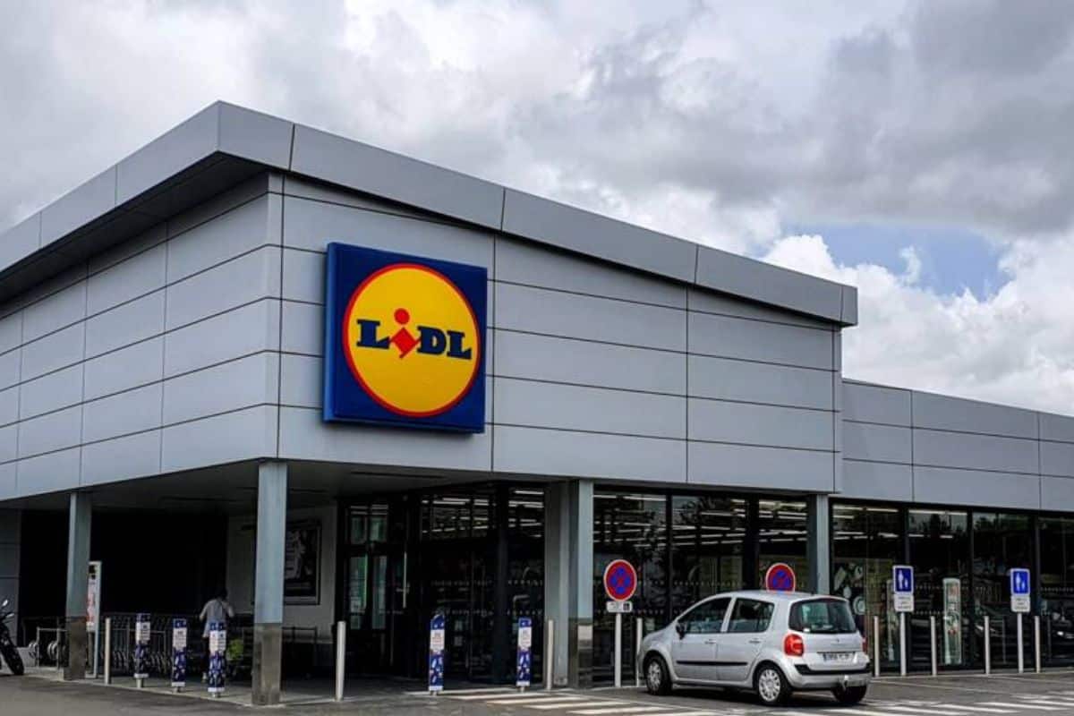 Lidl : Égayez votre intérieur avec ces plantes en ce moment disponible et à bas prix