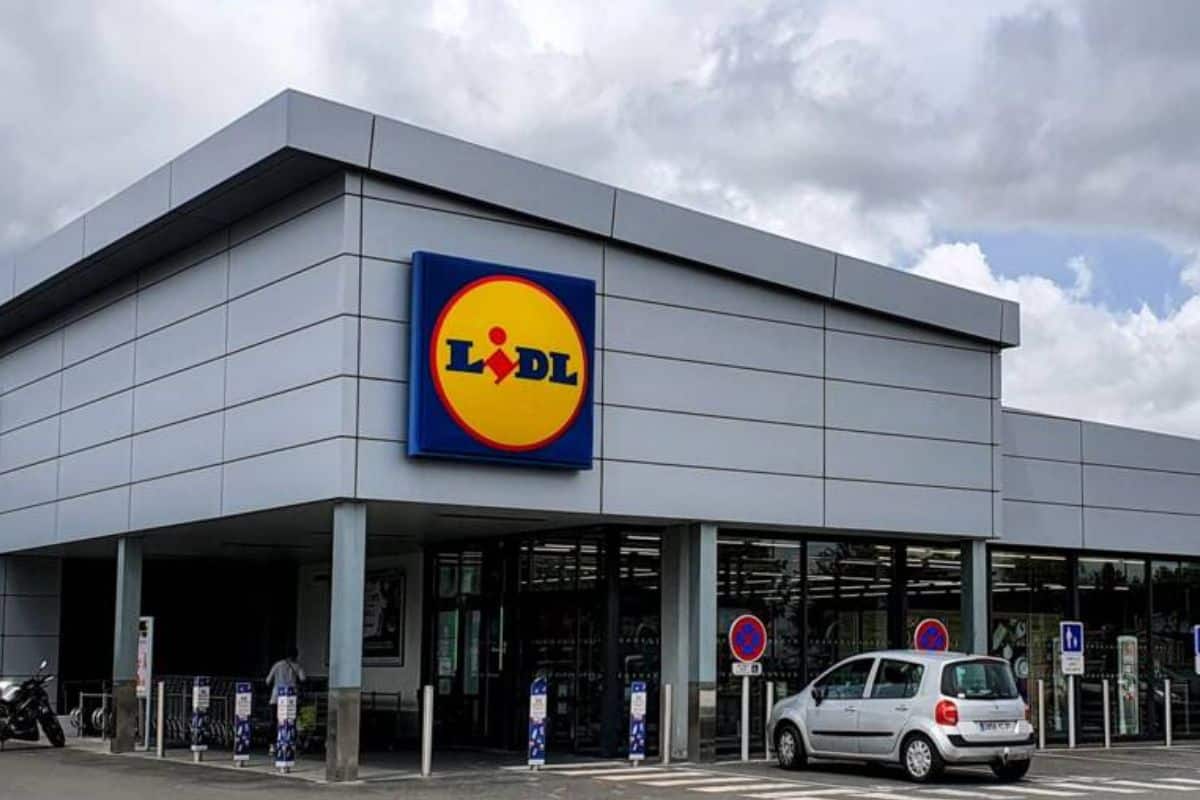 Lidl sta facendo grandi storie: la sua motosega a benzina Parkside è lo strumento essenziale per tagliare i tuoi alberi