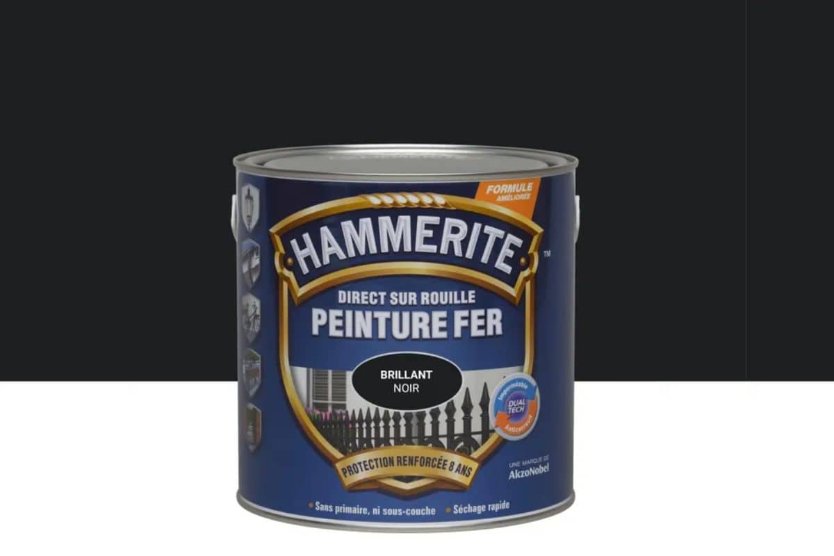 Peinture extérieure fer HAMMERITE noir brillant 2.5l