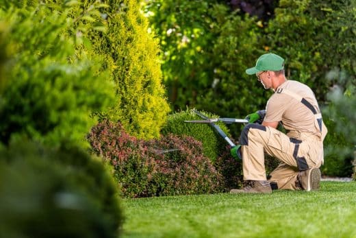 À épingler : Septembre : voici les arbustes que vous devez absolument planter avant la fin du mois