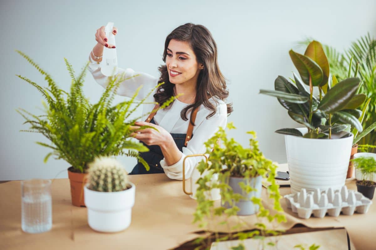 Vos plantes d'intérieurs meurent ? Cet aliment inattendu est un véritable remède pour elles