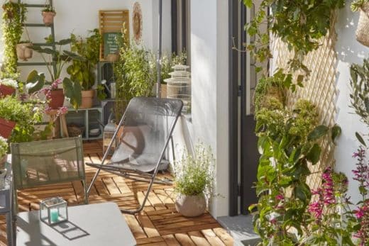À épingler : Vous rêvez d’une plante grimpante sur votre terrasse ? Suivez le guide pour la sélectionner et l’installer comme un pro