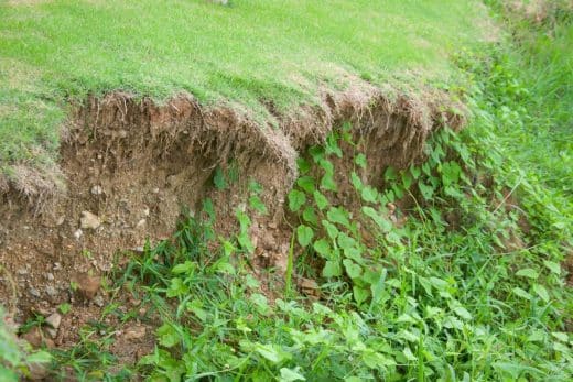 À épingler : Alerte Jardiniers ! Comment préserver votre sol de l’érosion et de ses ravages !