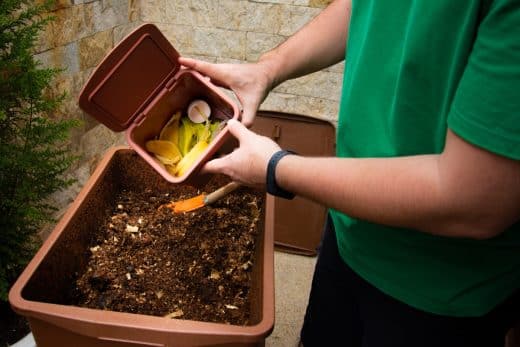 À épingler : Compost qui empeste ? Découvrez LA solution pour y remédier !