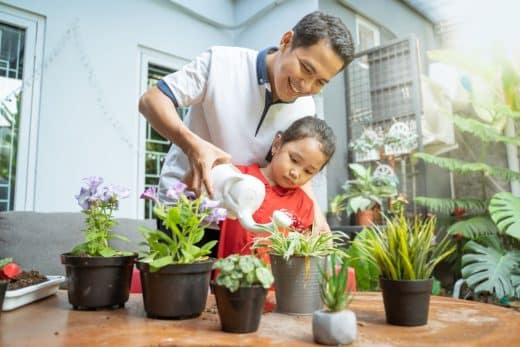 À épingler : Est-ce que vos plantes meurent de soif ? Voici les signes à ne pas ignorer