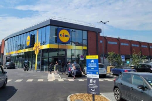 À épingler : Lidl : profitez en ce moment de plantes à moins de 2€ idéales pour installer une ambiance chaleureuse chez soi !