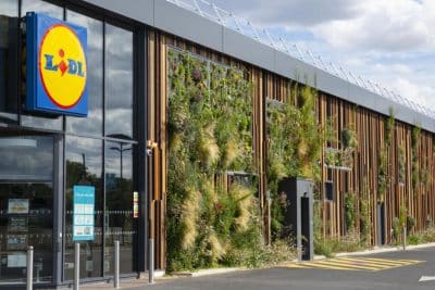 Lidl : profitez en ce moment d'un large choix de fleurs de saison à moins de 3 euros !