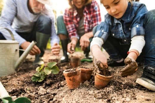 À épingler : Métamorphosez votre jardin cet automne avec ces plantes incontournables !