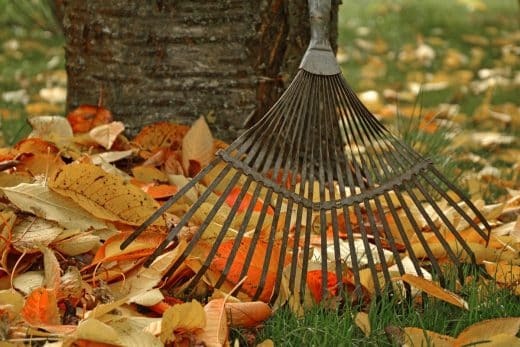 À épingler : Ne brulez plus vos feuilles mortes ! Transformez-les en trésor pour votre jardin !