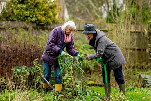 À épingler : Protégez votre jardin du gel ? Méthodes infaillibles pour faire face aux températures de l’hiver !