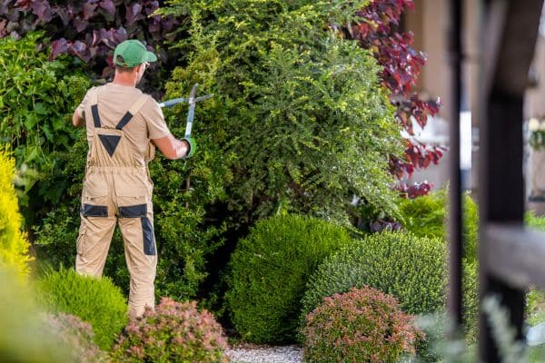 Quali sono le regole del servizio personale riguardo al giardinaggio?