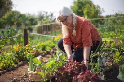 Comment bien entretenir son potager de façon écoresponsable ?