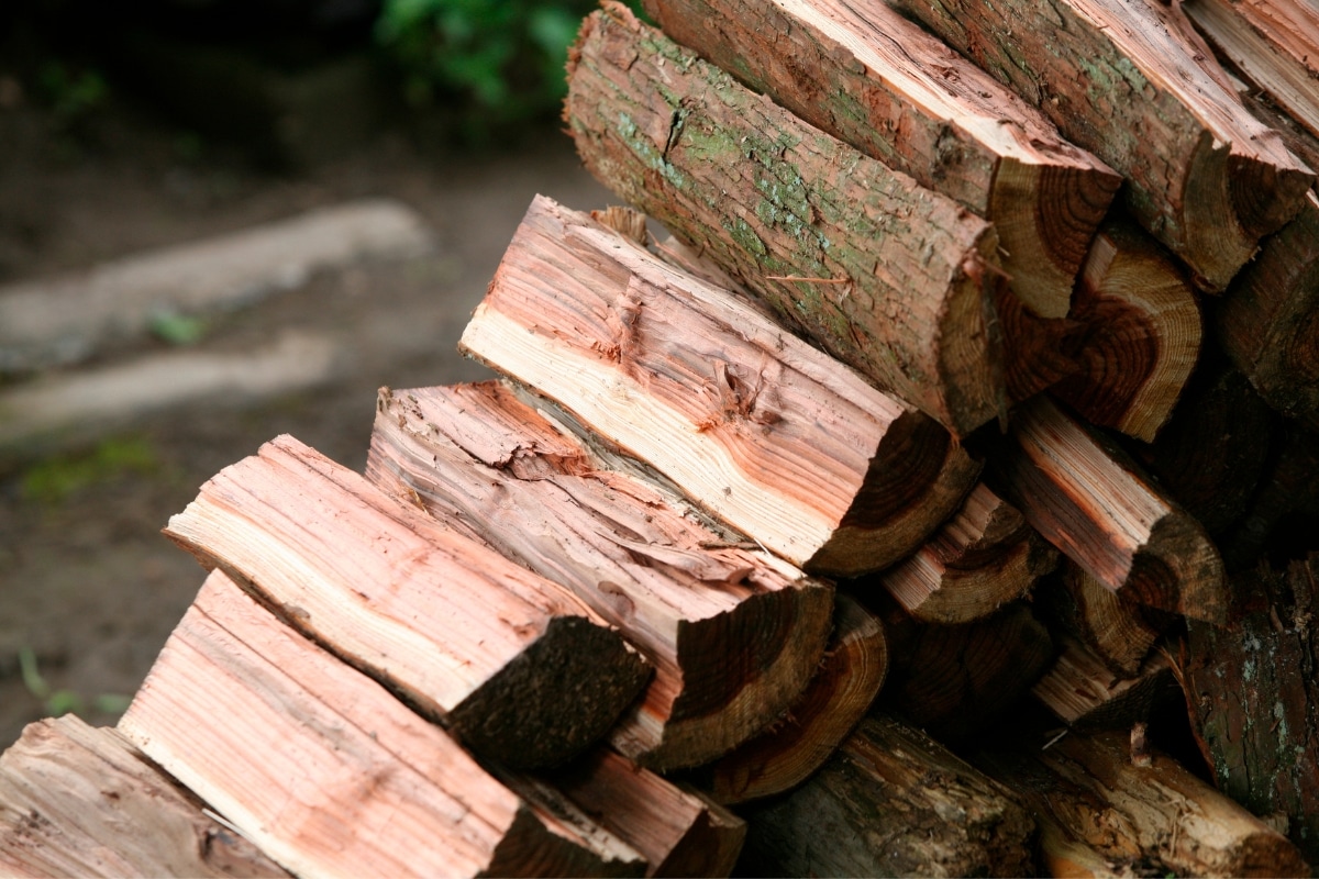 Faire le stock de bois pour l'hiver Les astuces pour acheter malin sans se ruiner !