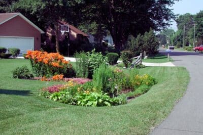 Jardin de pluie : une solution étonnante pour éviter les inondations et économiser l'eau !