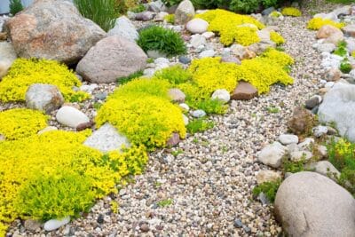 Jardin en rocaille sur une pente ? Le guide pour un aménagement réussi et un résultat époustouflant !