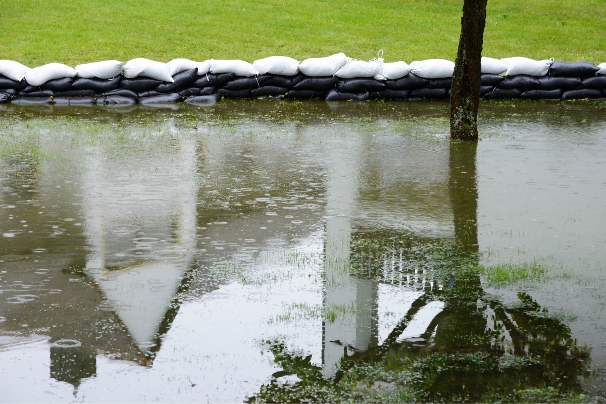 Jardin inondé après les averses de pluie ? Solutions efficaces pour sauver vos plantes et assurer une récupération rapide !