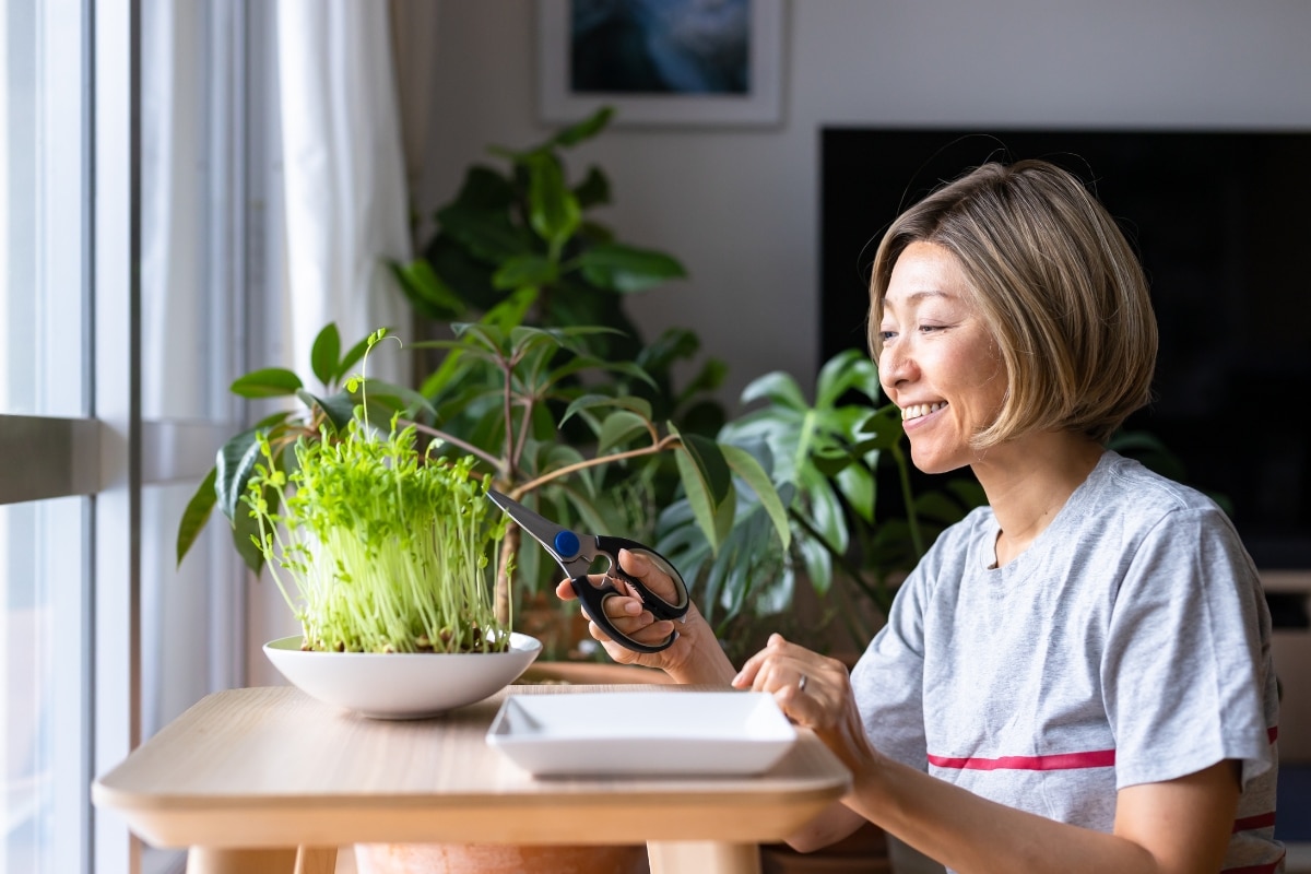 Jardiner en intérieur cet hiver Les meilleures plantes et légumes à cultiver chez vous !