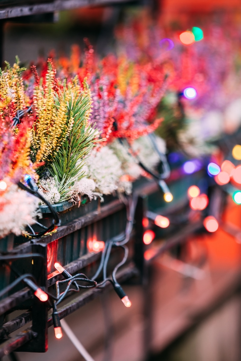 pots de fleurs ornés d'accessoires pour noël