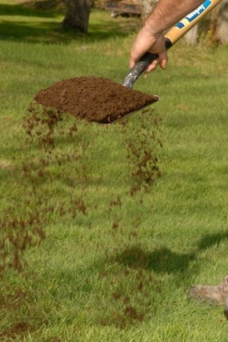 Terreauter la pelouse