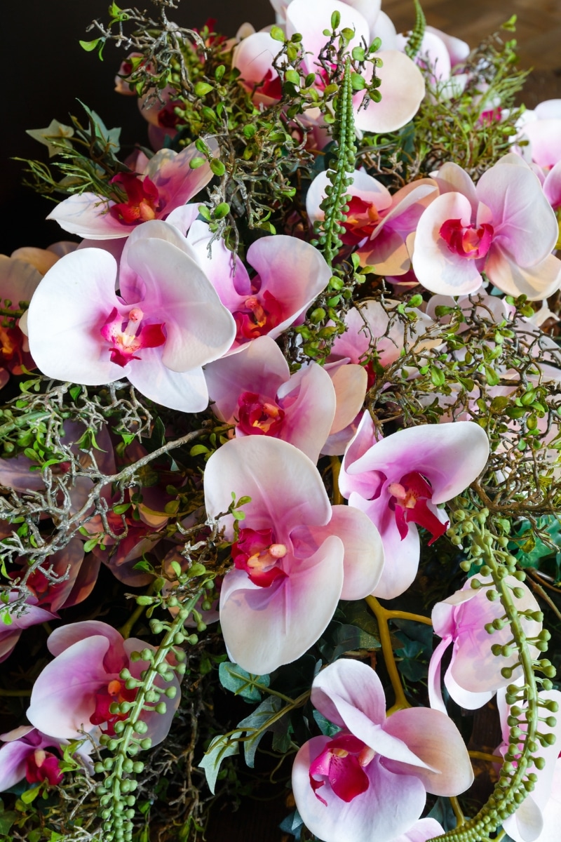 Composition florale d'orchidées