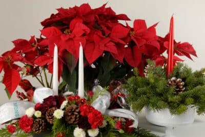 Décorez autrement à Noël ? Découvrez ces idées de compositions florales festives !