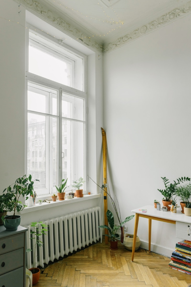 Des plantes mises pas loin d'un radiateur