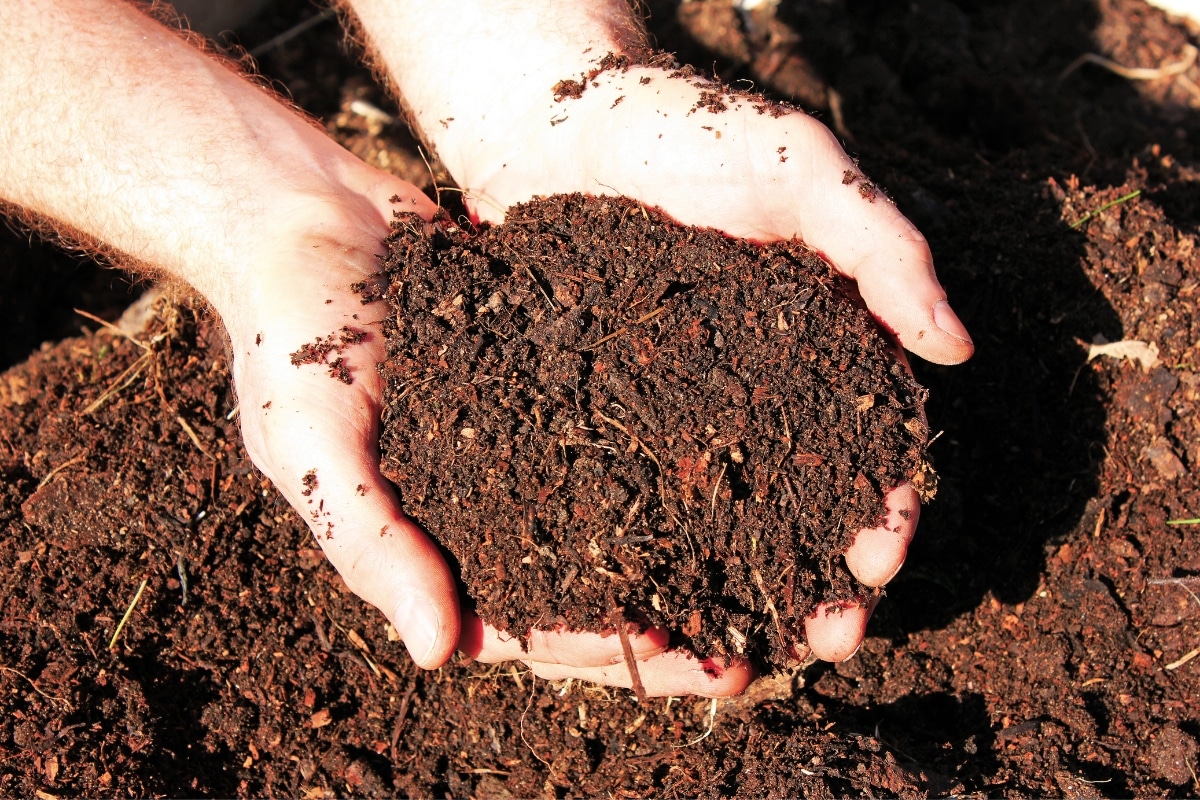 Jardinage. Fumier, compost : comment fabriquer vos engrais organiques ?