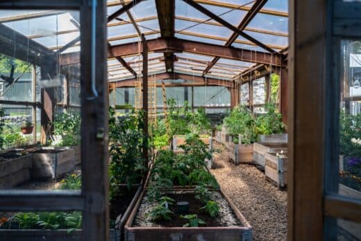 À épingler : Envie de cultiver en hiver ? Les meilleurs légumes à planter sous serre pour une récolte abondante !