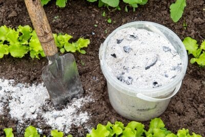 Les cendres de bois pour désherber ? La solution naturelle contre les mauvaises herbes !