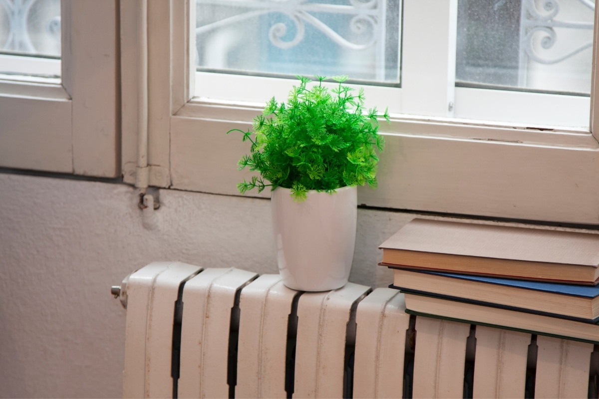 Protégez vos plantes d’intérieur de votre chauffage cet hiver : conseils et astuces infaillibles !