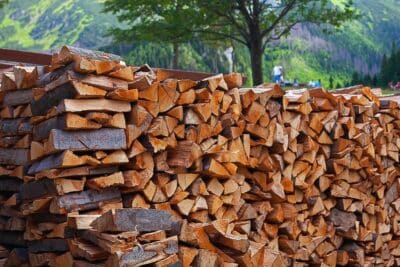 Quel est le prix d'un stère de bois en ce mois de décembre 2023 ?