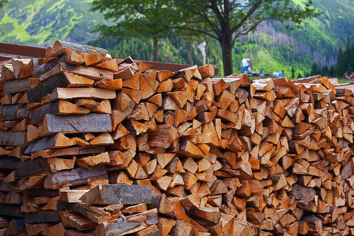 Quel est le prix d'un stère de bois en ce mois de décembre 2023 ?