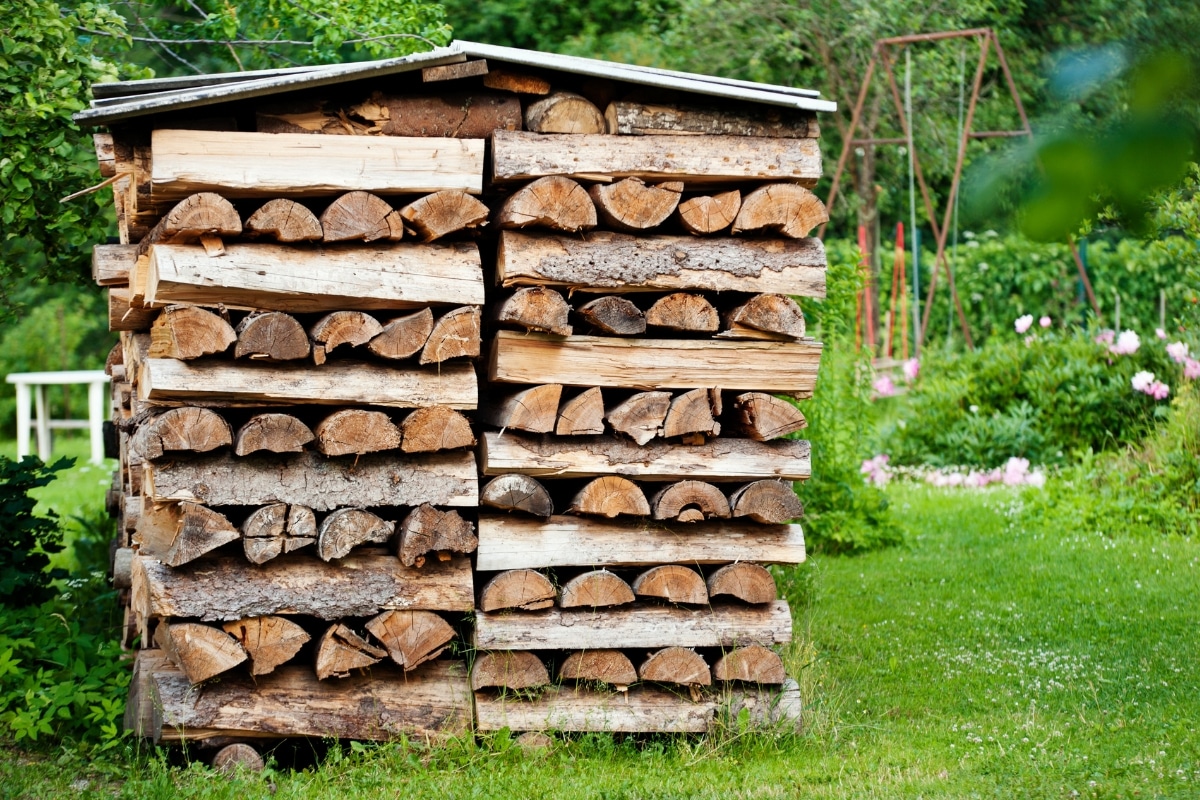 Quel est le prix du stère de bois en cette troisième semaine de décembre 2023 ?