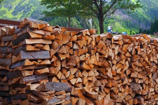 À épingler : Quel est le prix d’un stère de bois en cette deuxième semaine de décembre 2023 ?